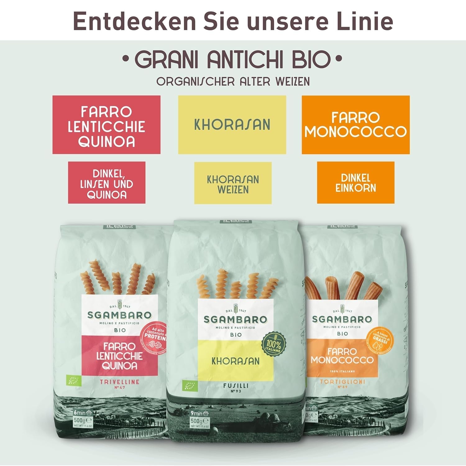 Paste Penne Rigate Organice N.91 - 500g din Grâu Khorasan - Grâu antic, bogat în proteine, cultivat 100% în Italia - Versatile în bucătărie și bogate în nutrienți