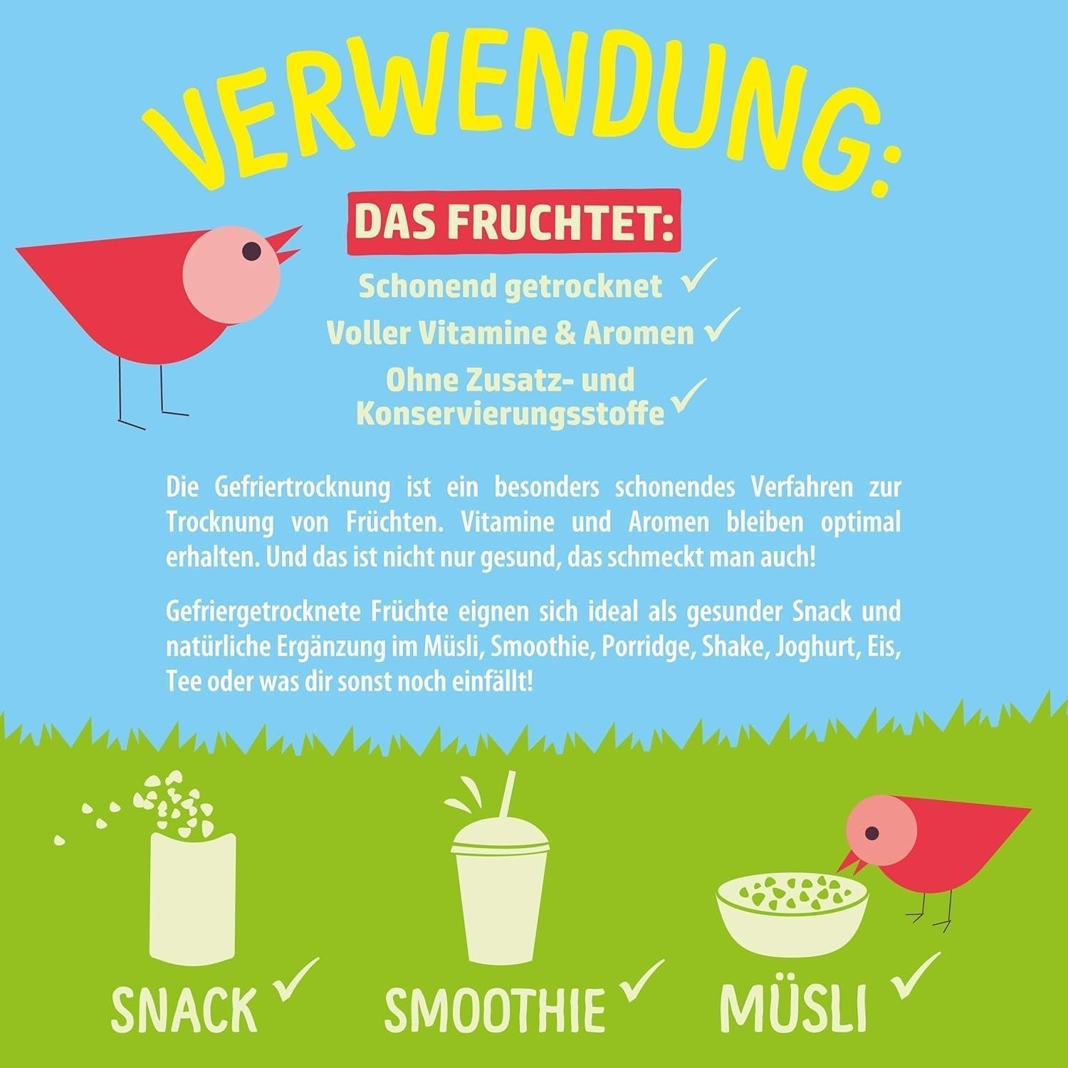 Afine liofilizate: 100g afine cultivate uscate pentru smoothie-uri, muesli, topping pentru terci - fructe de pădure liofilizate fără zahăr adăugat - Afine liofilizate NutriPur Produse deshidratate Naty Shop