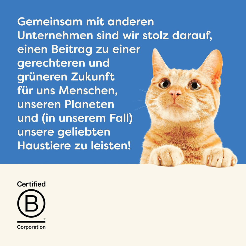 Applaws 100% natürliches Premium-Nassfutter für Katzen, Thunfischfilet mit Algen in Brühe - Packung mit 24 x 156g Dosen