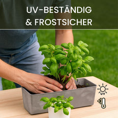 Jardinieră dreptunghiulară LAMELA cu picioare elegante – Ghiveci gri cu aspect de beton, fabricat din plastic robust, 37x17 cm, 6L – Rezistent la intemperii și ușor de curățat – Pentru interior și exterior