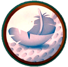 NYE 38 PLUS STØRRELSE PAMPERS PREMIUM TRUSSER. 4,9-15 kg