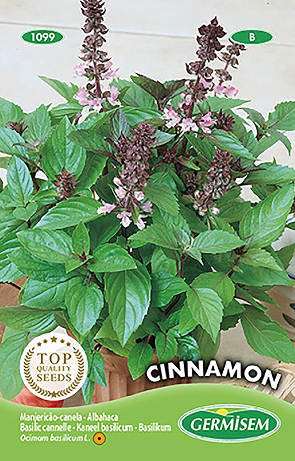 Basilikum CINNAMON