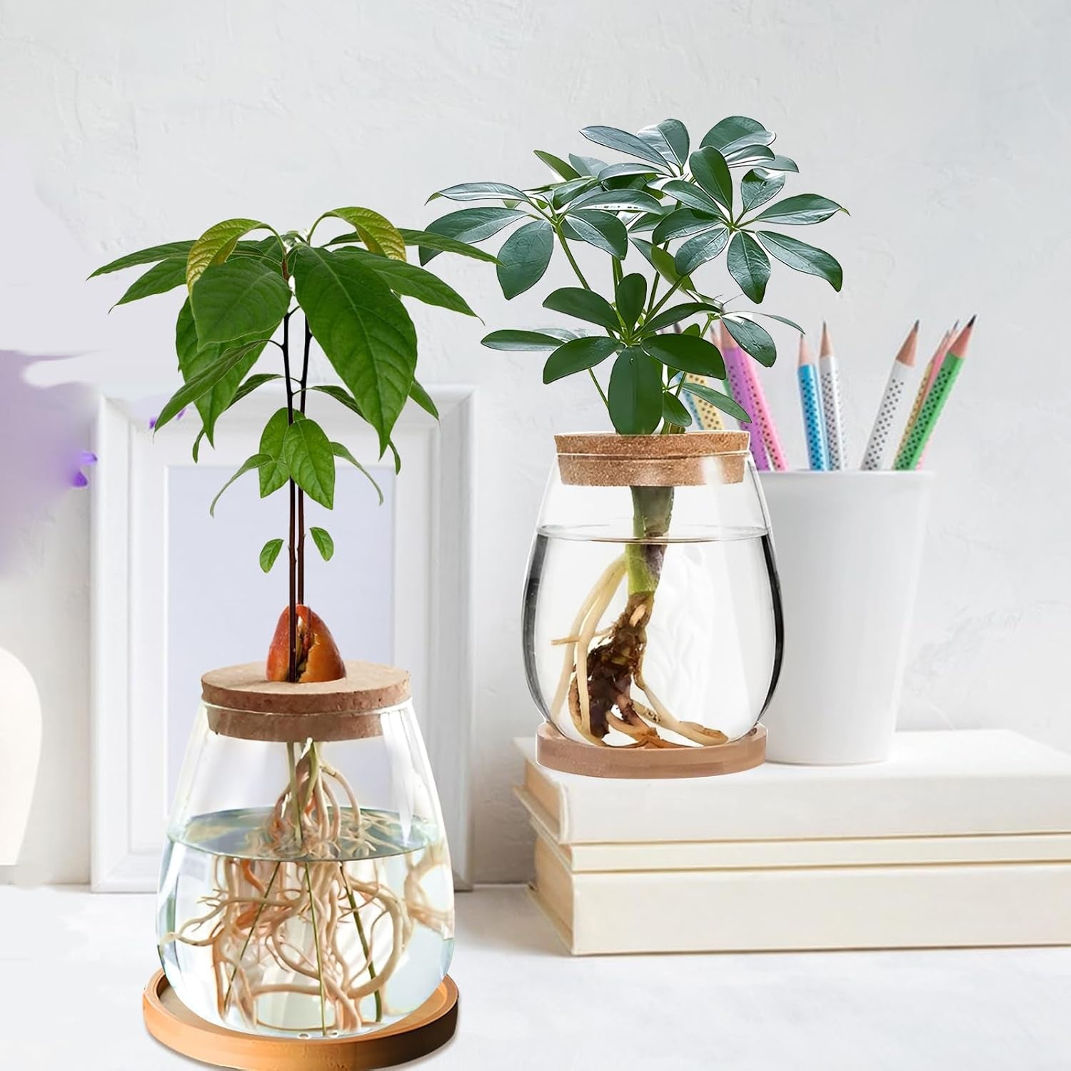 Hydroponic Plant Grow Station 12x11cm Avocado frøvase Glasplantekasse Hydroponisk glasvase til vandplanter eller blomster Skrivebordsdekoration 2 stk.