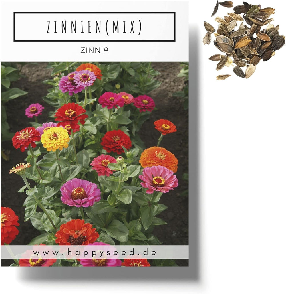 Zinnia frøblanding (Zinnia) - Farverige sommerblomster til havebedet, altanen, terrassen og som afskårne blomster i vaser