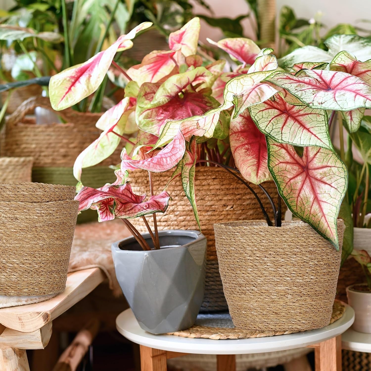 Ghiveci de flori Relaxdays din iarbă de mare, set de 3, rotund, pentru flori și ierburi, coș de plante cu folie, 3 dimensiuni, jardinieră, naturală