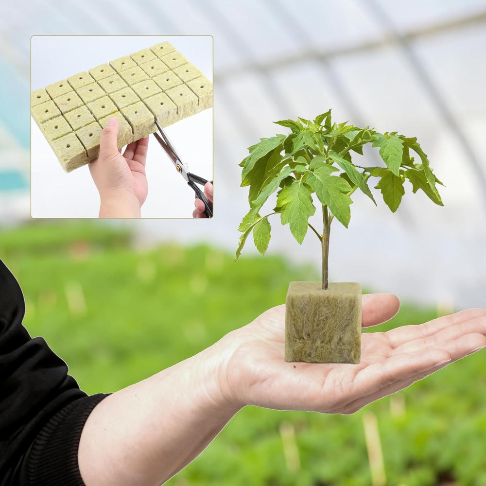 100 Rockwool Formeringsterninger 25x25x25mm Med Handsker Rockwool Isolering Nem propformering Terninger Hydroponics Rockwool Cubes Stiklinger Jordfri formering