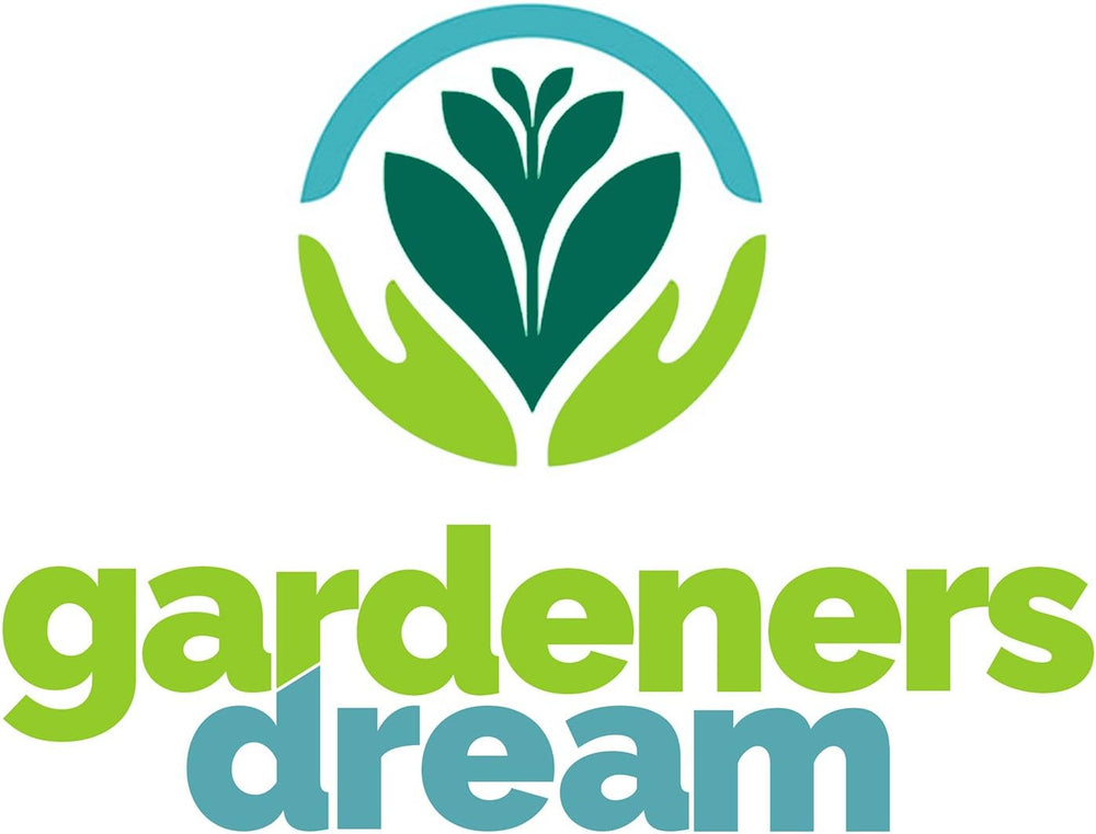 Gardeners Dream: 4 rigtige Tillandsia-planter - 4 rigtige Tillandsia-luftplanter - Terrarieplanter - Dekorative terrariumplanter - Luftrensende stueplanter - Dekorative planter - Rigtige planter