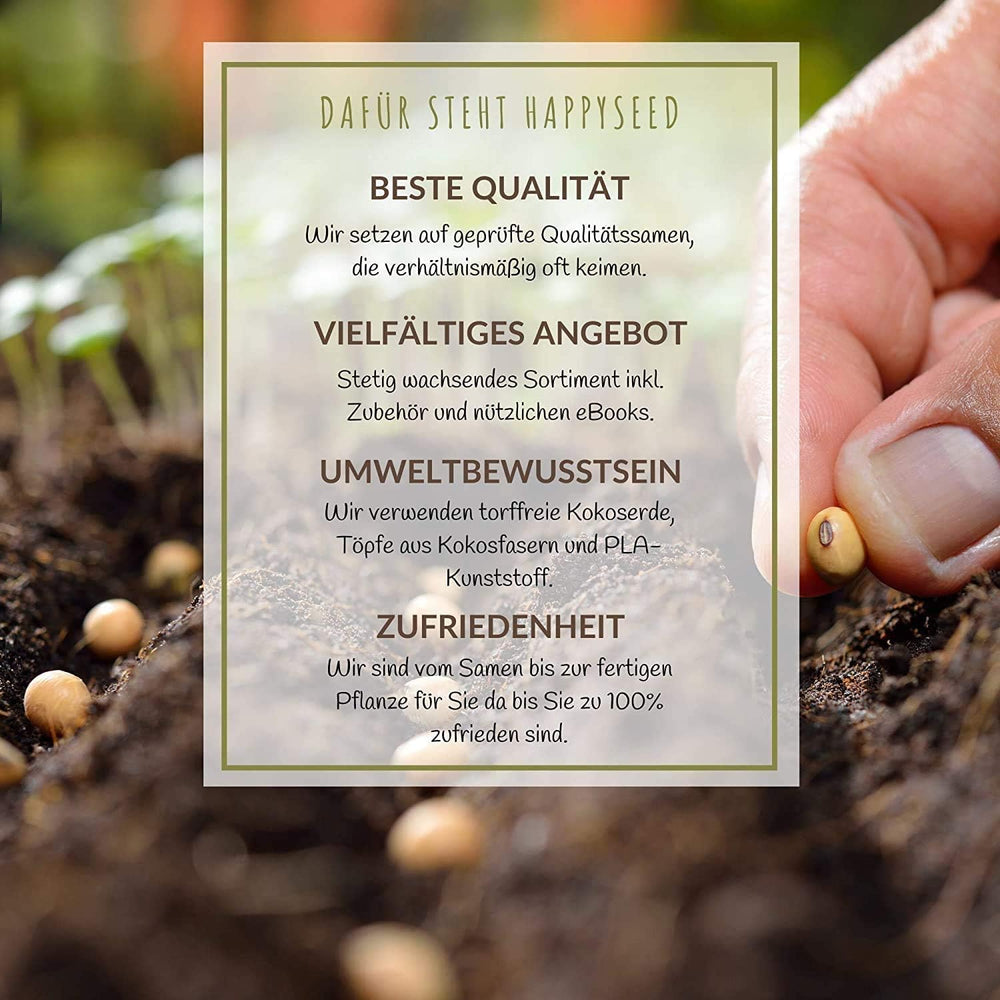 100 g vilde blomsterfrø til en farverig bi-græsgang - levende og nektarrig vildblomstfrøblanding til bier og sommerfugle (inkluderer GRATIS e-bog)