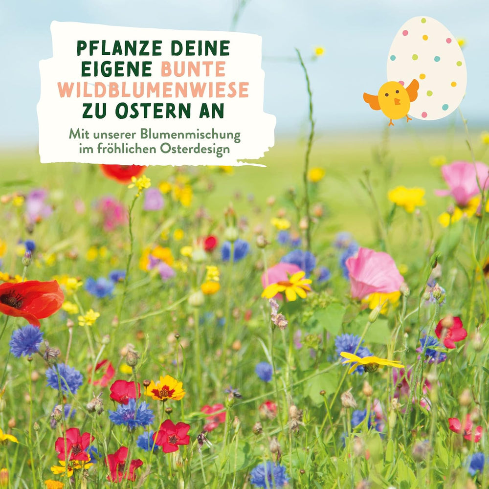 Vildblomst Engfrø | Påskegave Blomsterfrø, Påskegræsfrø | Påskeblomsterfrø og påskegaver til børn | Vilde blomsterfrø | Pakker med frø til en vildblomsteng