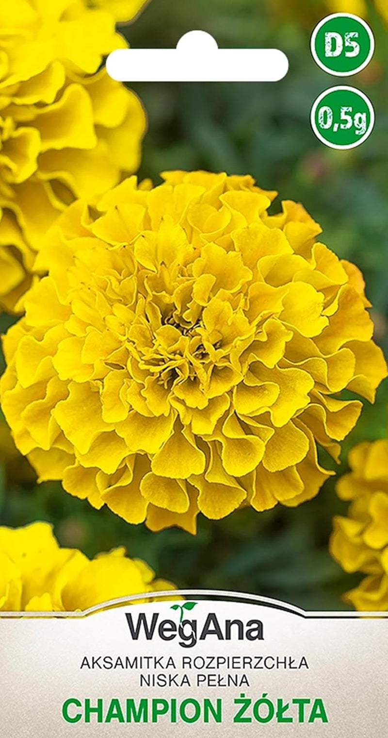 Cosmos Sensation Mix 1g frø, Cosmos Mix Sommerblomster, Haveplanter Balkonplanter, Blomsterfrø