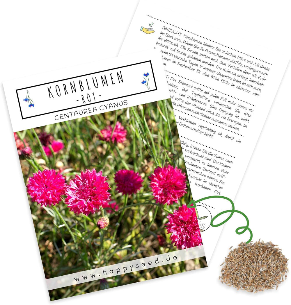 Centaurea cyanus frø - Smukke og levende blomster med en lang blomstringsperiode til en farverig blomstereng (Mix, 1000 frø, 80 cm)