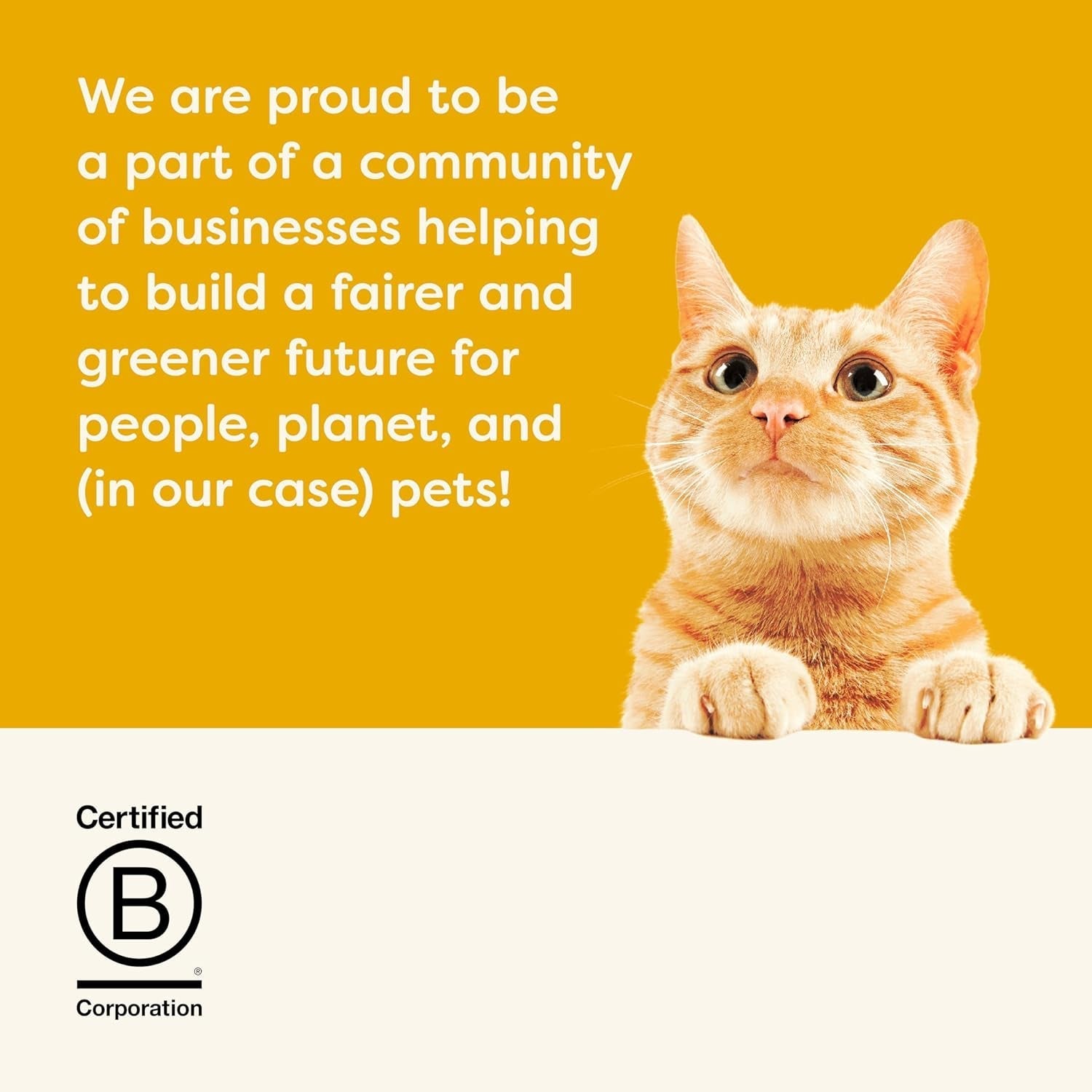 Applaws 100% Natural Premium Hrană umedă pentru pisici, Chicken Choice Multipack în bulion - pachet de 12 cutii de X 156G (pachet de 2)