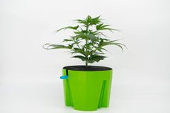 Hydro Farmer, 19-delt pottesæt Ø 18 cm (grøn), vækstsystem inkl. 4 potter, 4 vandingsringe, 4 låg, adaptersæt og 2 m slange, hydroponics, aeroponics