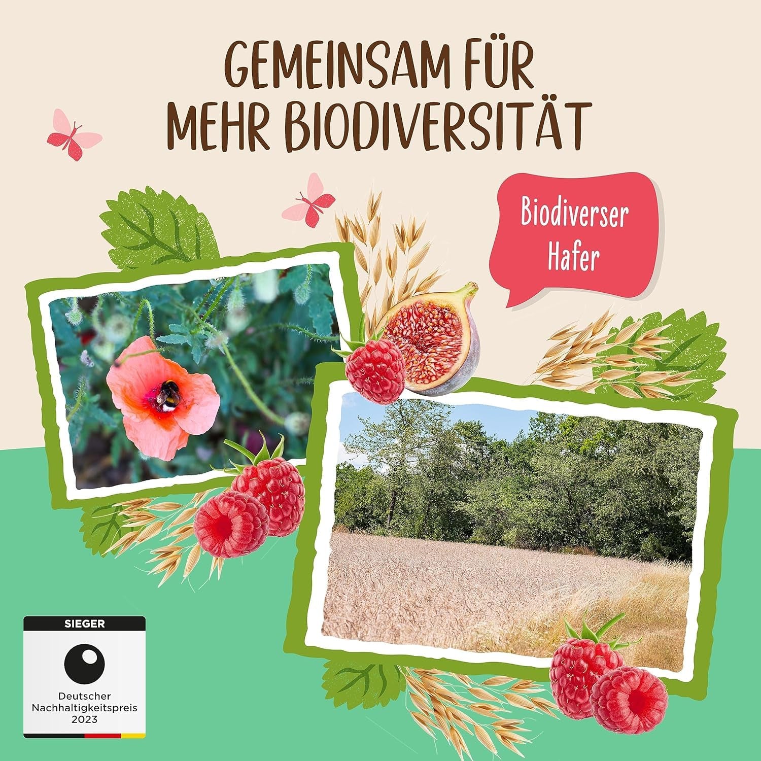 Usødet figen- og hindbærgrød | Grød uden sukker | Økologisk müsli | Müsli med frugt | Havregryn | Grød til morgenmad | Korn til morgenmad | Vegansk | Pakke med 6 (6 x 500 g)