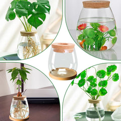 Hydroponic Plant Grow Station 12x11cm Avocado frøvase Glasplantekasse Hydroponisk glasvase til vandplanter eller blomster Skrivebordsdekoration 2 stk.