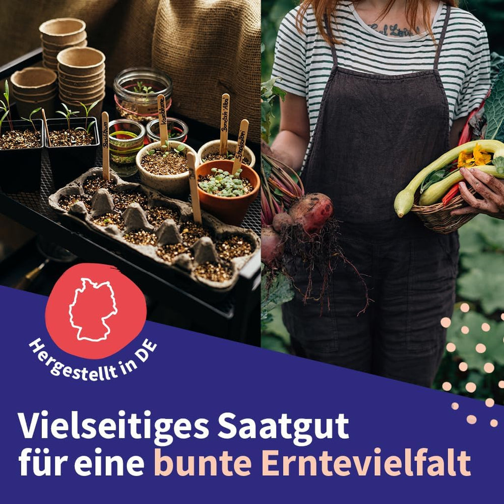 Magiske havefrø - Centraleuropæisk frøsæt til lægeplanter - 12 traditionelle sorter af populære lægeplanter - Arvestykker - Havetilbehør - Plantefrø - Gave til haveelskere