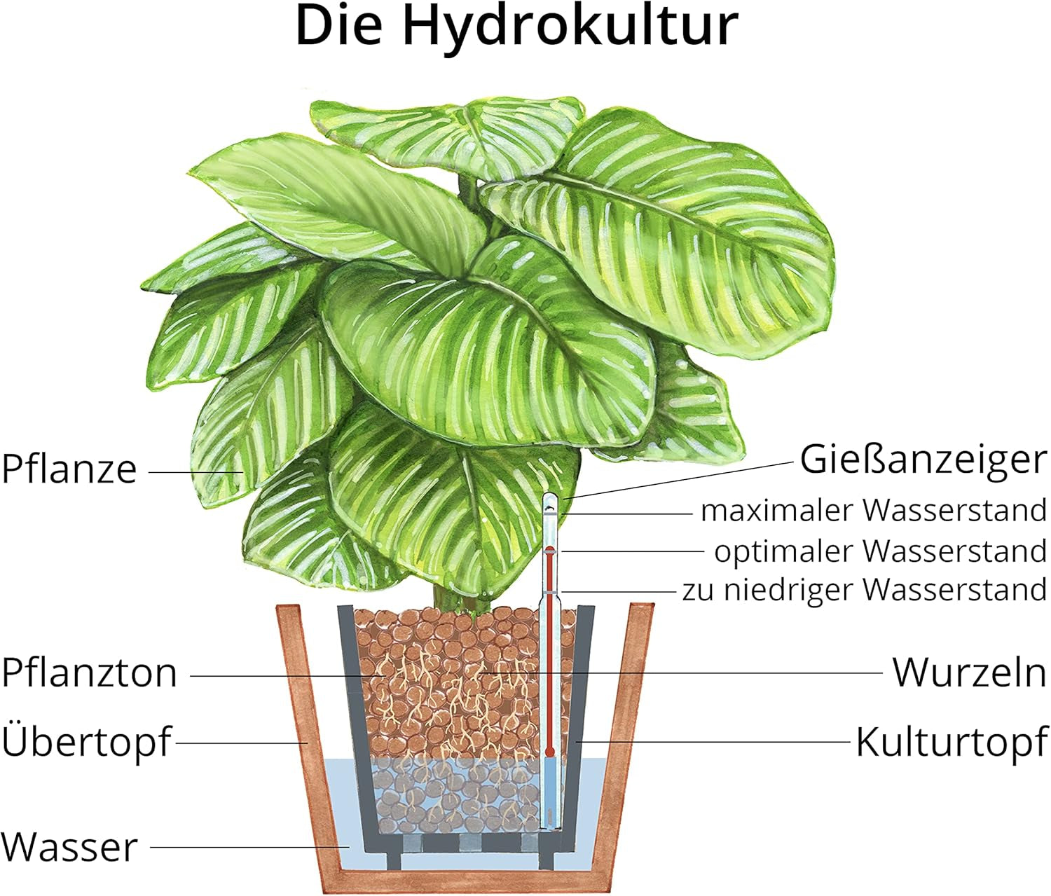 Dehner Planteler, 10 l, 4/8 mm korn, universel størrelse