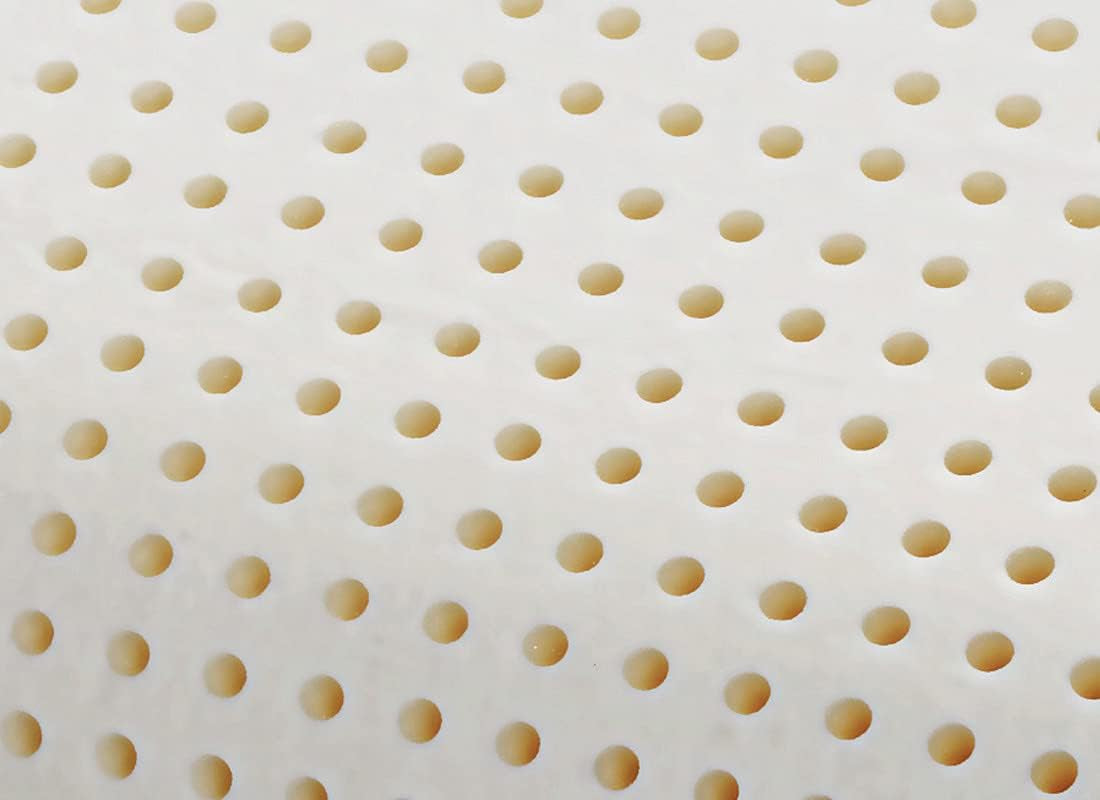 Pernă ortopedică de susținere a gâtului - Aloe organică - Pernă viscoelastică Aloe Vera 14 cm înălțime 100% bumbac acoperire Visco pernă - Pernă cu spumă de memorie - Made in Italy Perne standard Naty Shop