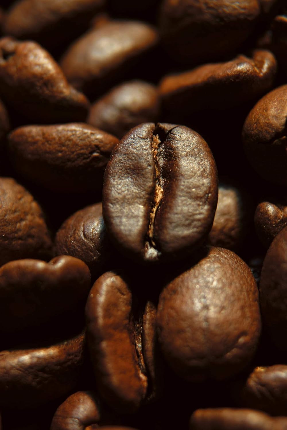 Caffè Corsini - Compagnia dell'Arabica, Arabica Kaffeebohnen Aromatisch und Cremig, 1 kg Packung geröstete Kaffeebohnen