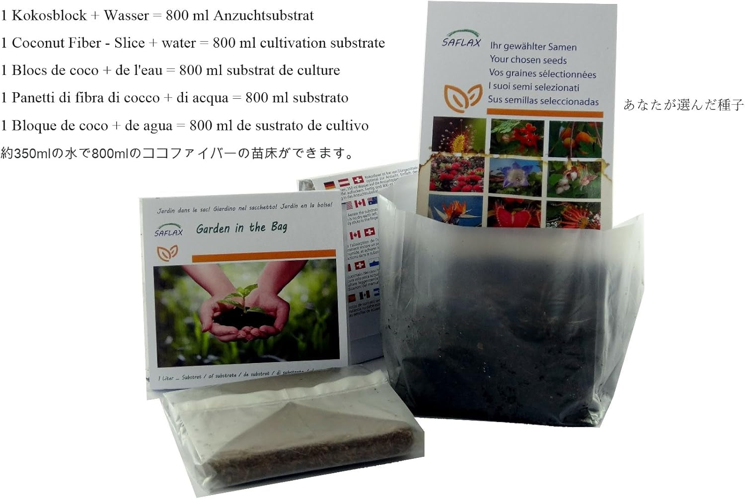 SAFLAX - Garden in the Bag - Schwarzer Maulbeerbaum - 200 Samen - Mit Anzuchtsubstrat Im Praktischen, Selbst Aufstellenden Beutel - Morus Nigra