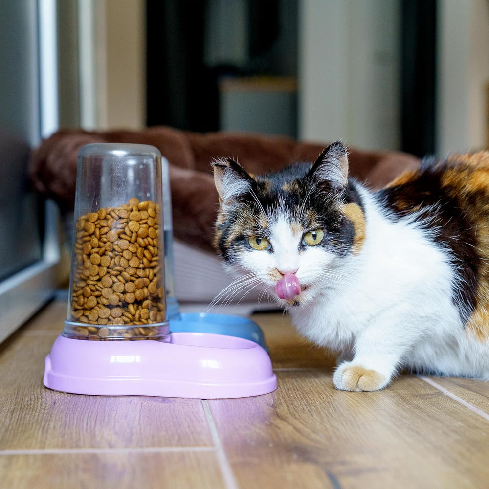 Ferplast Futter- oder Wasserspender für Hunde und Katzen AZIMUT 600 Futtertrog Vand 0,6 liter, Rutschfester Boden, 12,5 x 19 x H 19,5 cm Blå