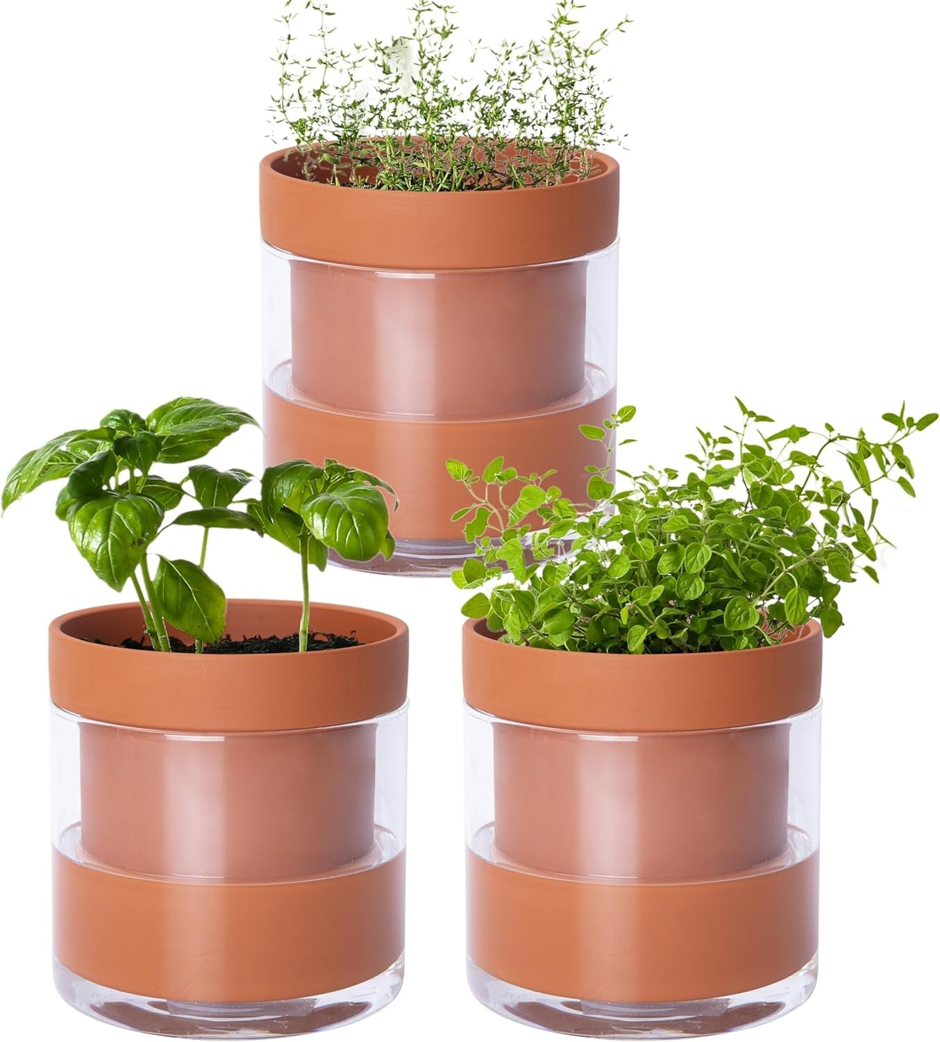 Ghiveci cu auto-udare, 15,2 cm, ghiveci din teracotă cu rezervor de sticlă pentru plante de apartament, ierburi aromatice, flori, 52-AF