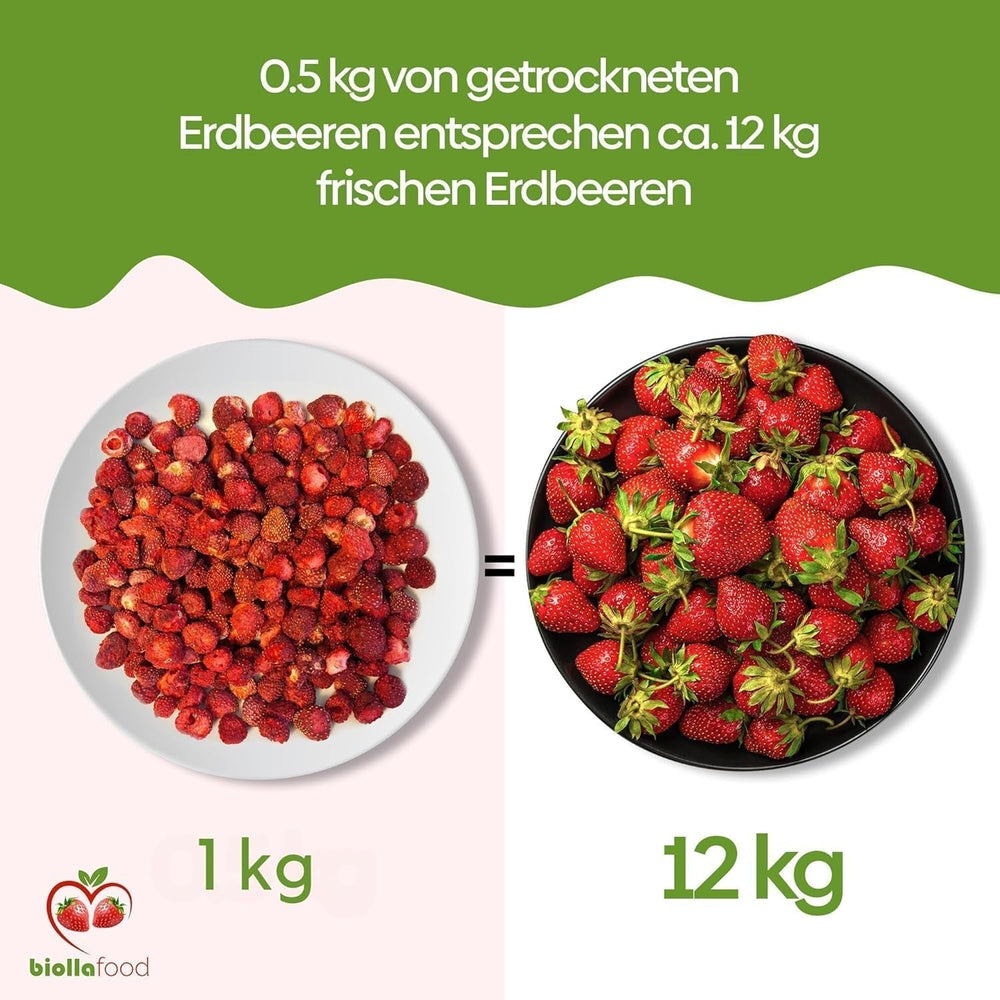biolla food căpșuni întregi uscate, 0,5 kg, 100% naturale. Gustări sănătoase pentru copii. Ideale pentru smoothie-uri, muesli cu ovăz, ceai și terci. Durată lungă de valabilitate. VEGAN, FĂRĂ GLUTEN, ALIMENTE CRUDE Produse deshidratate Naty Shop