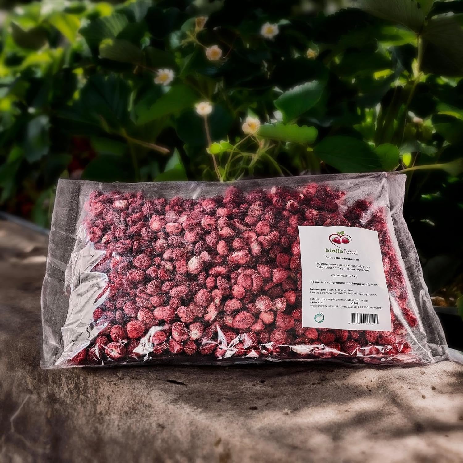 biolla food căpșuni întregi uscate, 0,5 kg, 100% naturale. Gustări sănătoase pentru copii. Ideale pentru smoothie-uri, muesli cu ovăz, ceai și terci. Durată lungă de valabilitate. VEGAN, FĂRĂ GLUTEN, ALIMENTE CRUDE Produse deshidratate Naty Shop