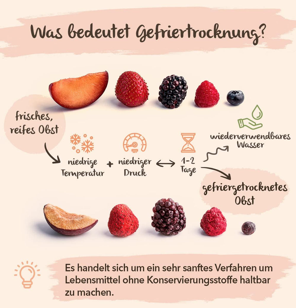 BRIX Mango liofilizat | Natural, felii de mango uscat 95 g | Great Taste Award fructe uscate, mango liofilizat | Fără OMG, fără gluten, vegan, vitamine reținute Produse deshidratate Naty Shop