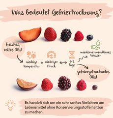 BRIX Mango liofilizat | Natural, felii de mango uscat 95 g | Great Taste Award fructe uscate, mango liofilizat | Fără OMG, fără gluten, vegan, vitamine reținute Produse deshidratate Naty Shop