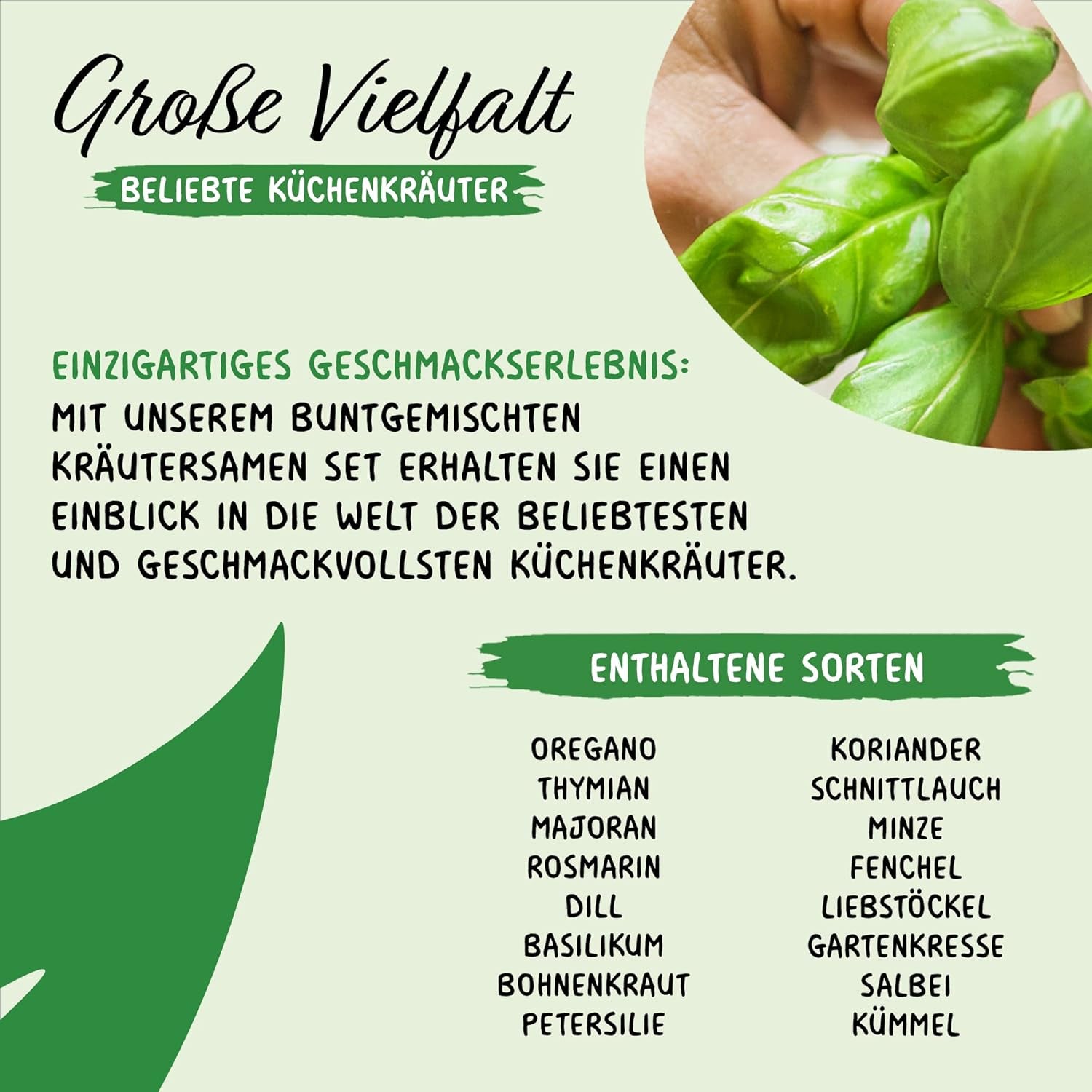 Prademir – Kräutersamen Set fra 16 beliebten Küchenkräutern – Kräuter Anzuchtset mit 100% Natursamen fra Portugal – Kräuter Saatgut aus Oregano, Timian, Merian, Rosmarin, Dild, Basilikum, Sage uvm