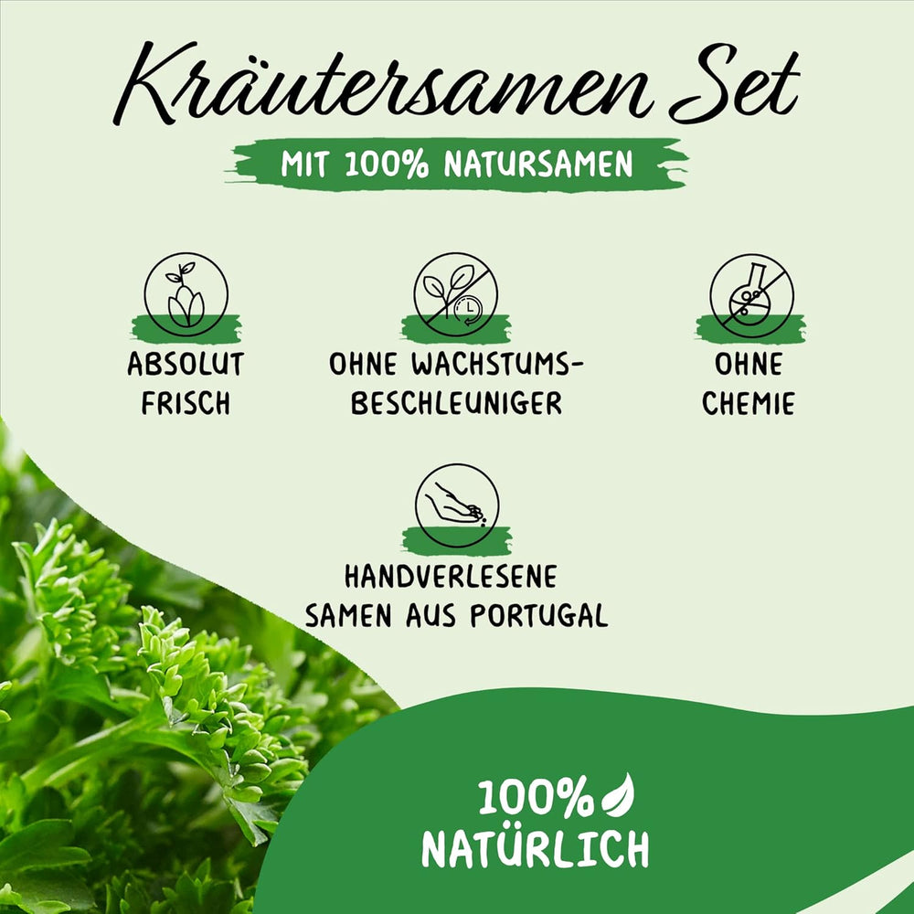 Prademir – Kräutersamen Set fra 16 beliebten Küchenkräutern – Kräuter Anzuchtset mit 100% Natursamen fra Portugal – Kräuter Saatgut aus Oregano, Timian, Merian, Rosmarin, Dild, Basilikum, Sage uvm