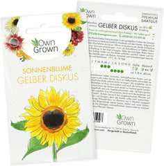Gule diskossolsikkefrø (Helianthus annuus): Premium solsikkefrø, solsikkefrø til dyrkning af omkring 20 solsikkeplanter - insektvenlige blomsterfrø fra OwnGrown