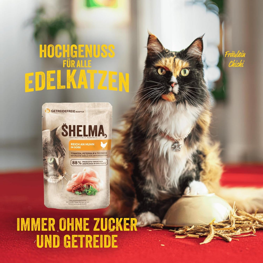 Shelma Hrană umedă pentru pisici Megapack cu carne de vită, curcan, pui și rață – Hrană completă fără cereale cu conținut ridicat de carne – 40 x 85 g (3,4 kg)