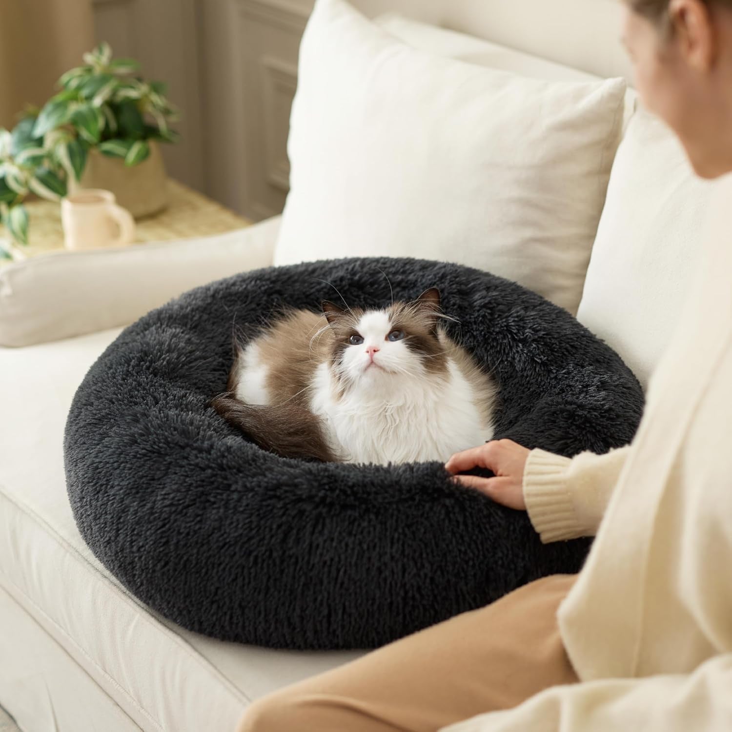 Paturi, cuverturi & mobilier, animale de companie, pisici, paturi pisici, Pisici - culcusuri, saltele
