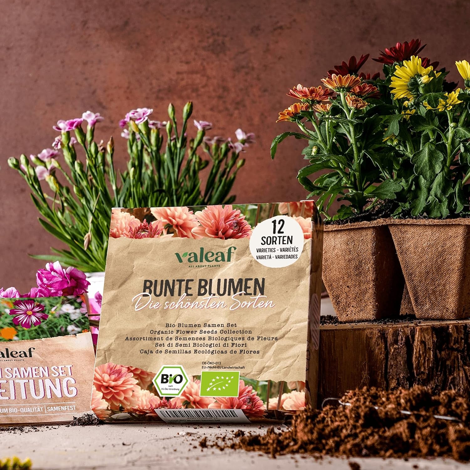 Økologisk blomsterfrøsæt | 12 sorter af blomsterfrø | Premium blomsterfrø | Wildflower frø plante frø sæt | Blomsterfrø | Blomsterfrø til altanen | Ideel gave med blomsterfrø