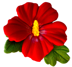 Spiselig hibiscus blomst – kagepynt 9,5 cm til kager og desserter
