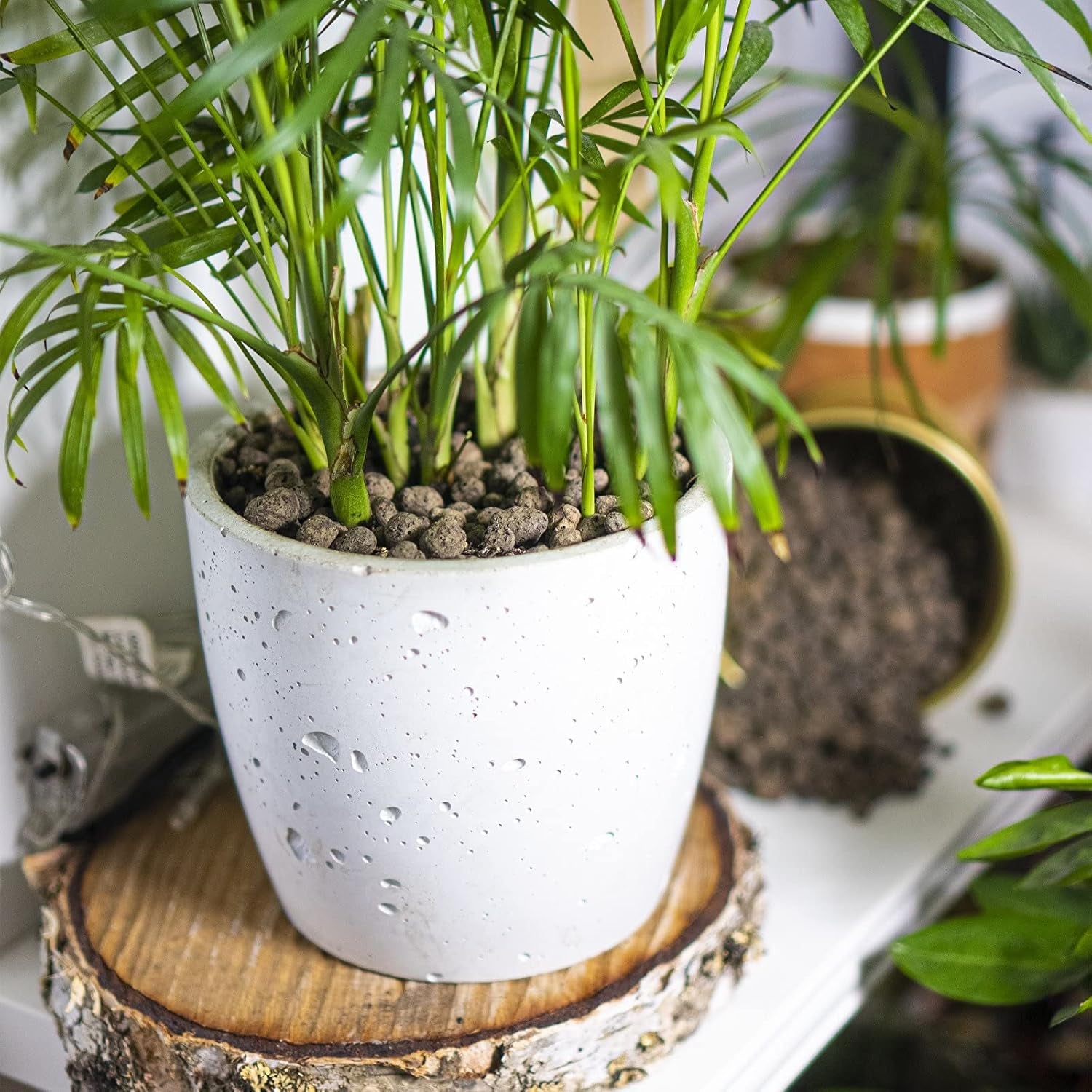 Browin 749950 Keramsit - ekspanderet ler 4 L, 10-20 mm, brun