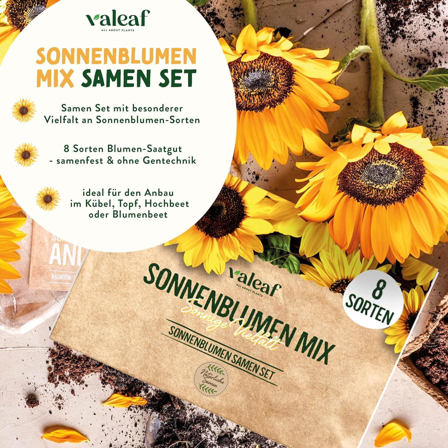 Solsikkefrøsæt - 8 varianter af solsikkefrø - Solsikkefrø i praktisk plantesæt - Sommerblomsterfrø, vildblomstblanding - Blomsterfrø til plantning