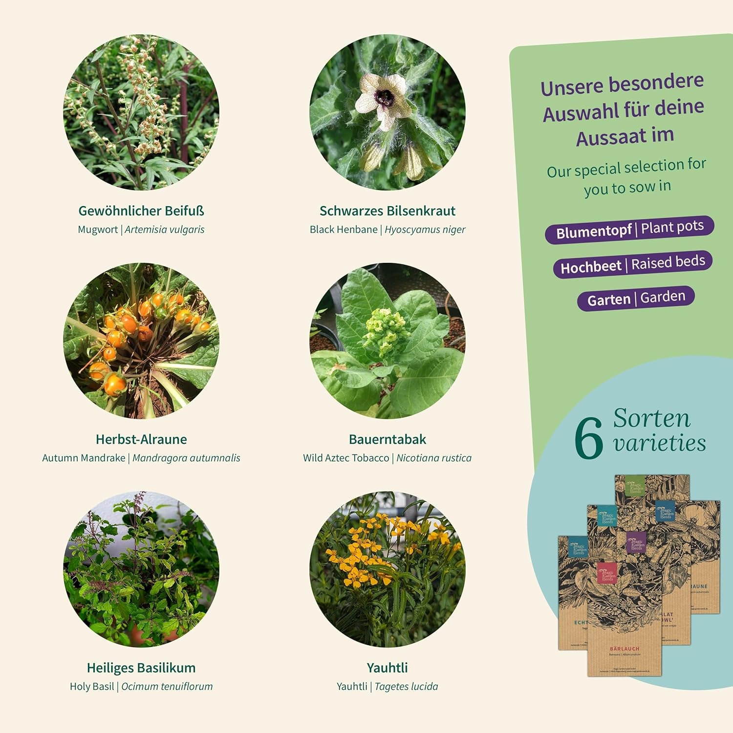 Magic Garden Seeds - Fortryllede planter med 6 magiske urter: Malurt, Malurt, Mandrake og mere - Røgelsesplanter til at dyrke dig selv og give som gaver