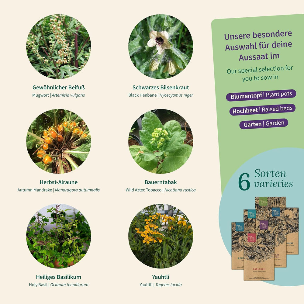 Magic Garden Seeds - Fortryllede planter med 6 magiske urter: Malurt, Malurt, Mandrake og mere - Røgelsesplanter til at dyrke dig selv og give som gaver