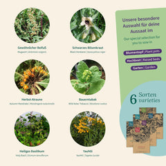 Magic Garden Seeds - Fortryllede planter med 6 magiske urter: Malurt, Malurt, Mandrake og mere - Røgelsesplanter til at dyrke dig selv og give som gaver