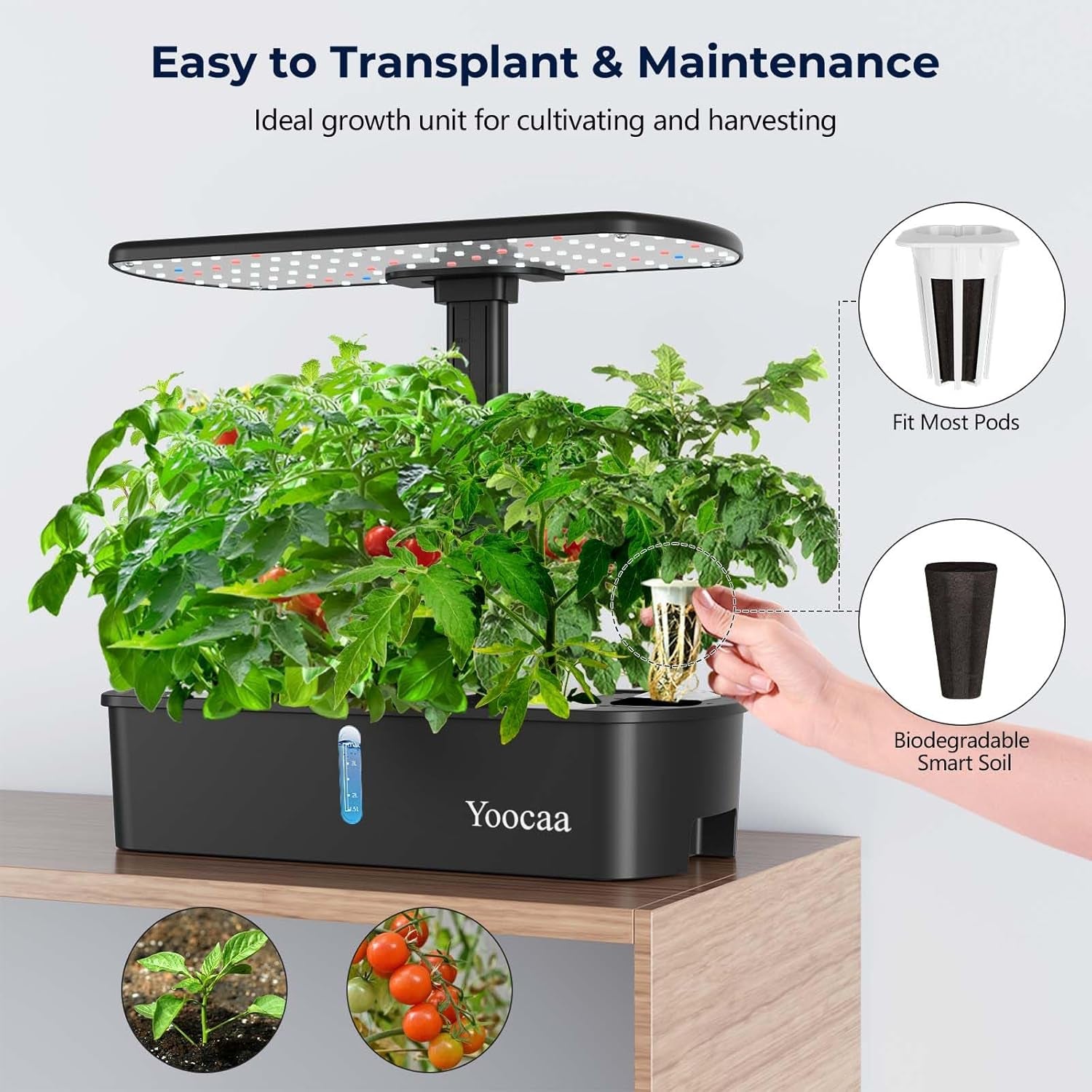 12 planter hydroponisk dyrkningssystem, indendørs urtehave med automatisk timer, pumpe, højdejusterbart smart havedyrkningssæt (frø ikke inkluderet)