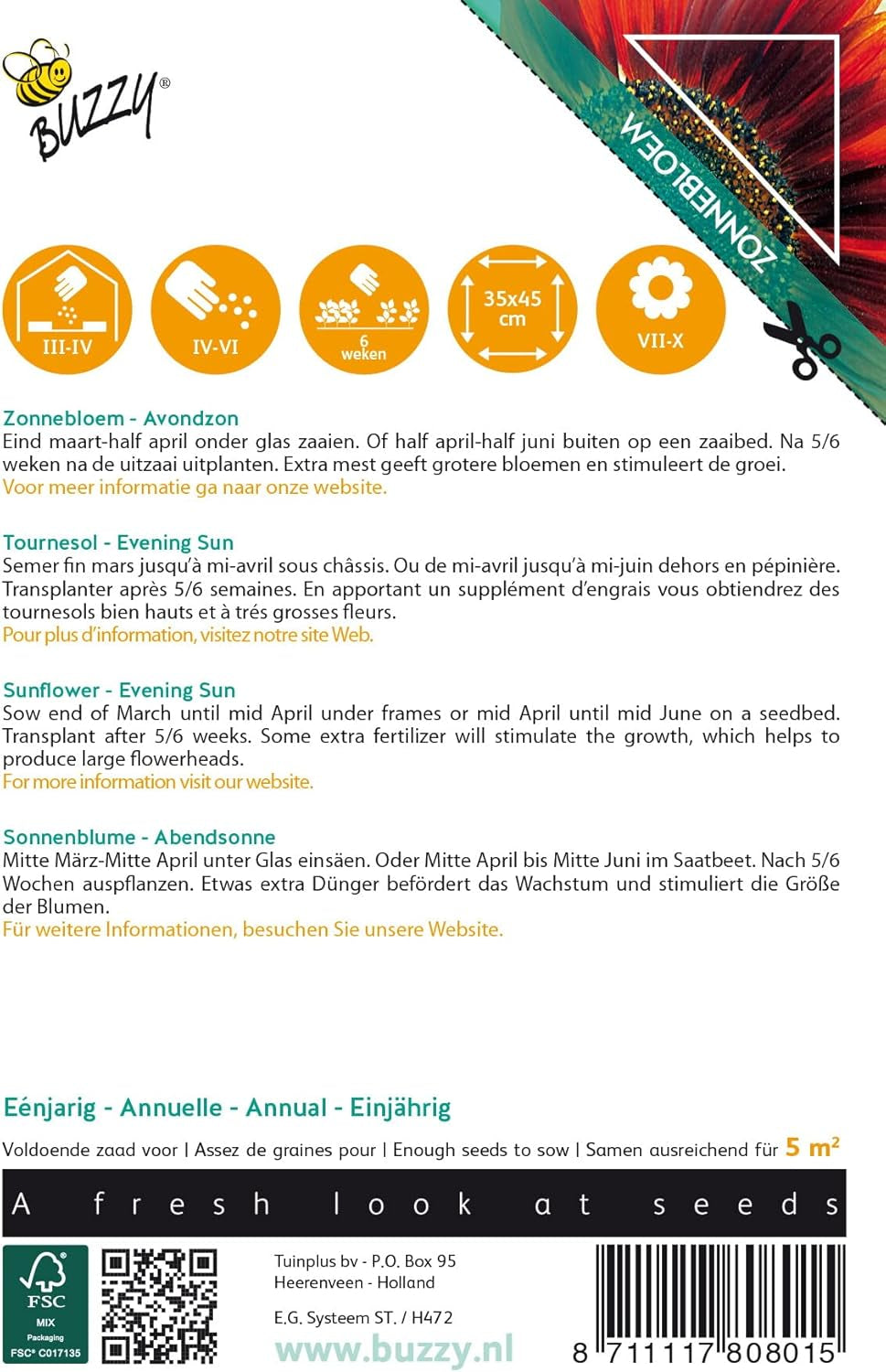 Solrige blomster, solsikker, aftensol