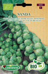 Rosenkohl SANDA, ECBIO3024
