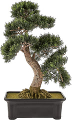4103 61 Cm Zedern-Bonsai-Seidenpflanze, Grün