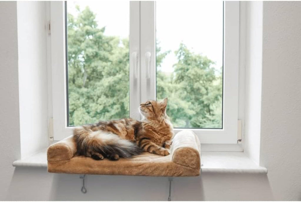 Pături și mobilier, Scaune ferestre, Animale de companie, Pisici, Paturi pentru pisici, Pisici - culcusuri, saltele