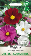 Cosmos Sensation Mix 1g frø, Cosmos Mix Sommerblomster, Haveplanter Balkonplanter, Blomsterfrø
