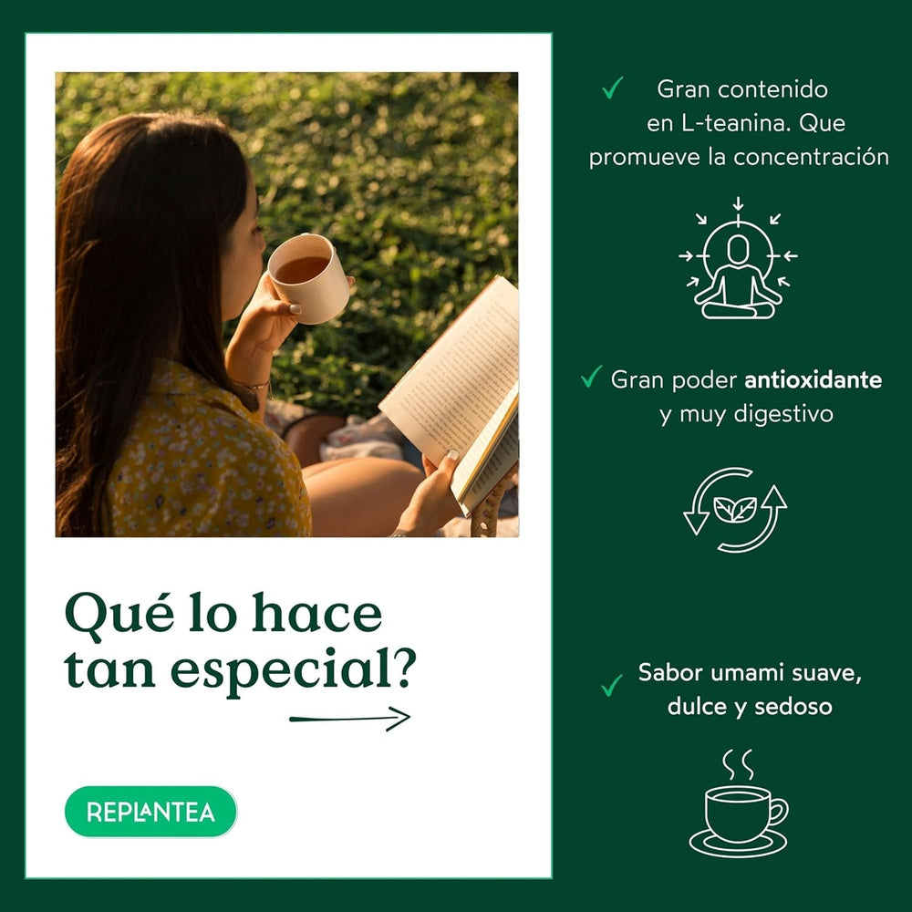 Ceai verde japonez Gyokuro organic (100 g) | Ceai premium la vrac | Gust umami rafinat și dulceață delicată | REPLANTEA