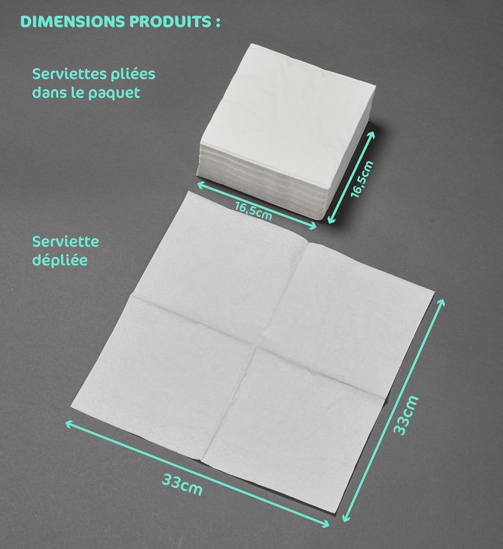 ARTS DE LA TABLE 20 de șervețele din vată, 33 X 33 cm, 3 straturi, steag de pirat